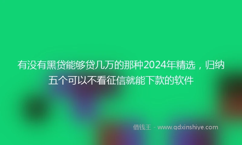 有没有黑贷能够贷几万的那种2024年精选，归纳五个可以不看征信就能下款的软件