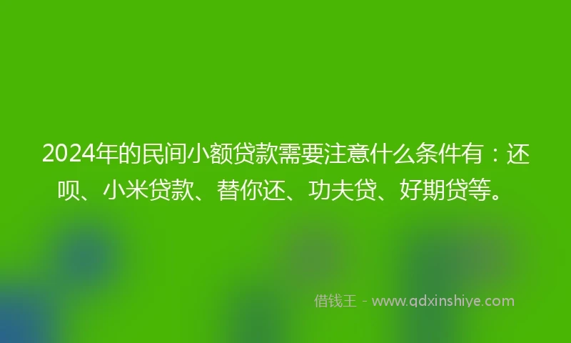 2024年的民间小额贷款需要注意什么条件有：还呗、小米贷款、替你还、功夫贷、好期贷等。