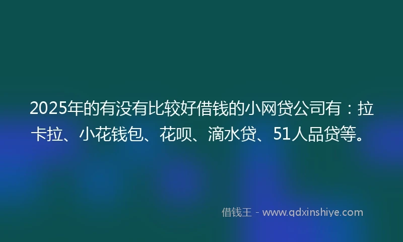 2025年的有没有比较好借钱的小网贷公司有：拉卡拉、小花钱包、花呗、滴水贷、51人品贷等。