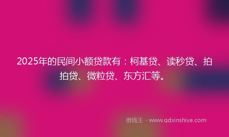 2025年的民间小额贷款有：柯基贷、读秒贷、拍拍贷、微粒贷、东方汇等。