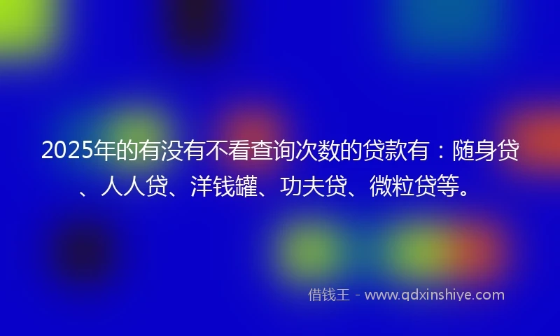 2025年的有没有不看查询次数的贷款有：随身贷、人人贷、洋钱罐、功夫贷、微粒贷等。