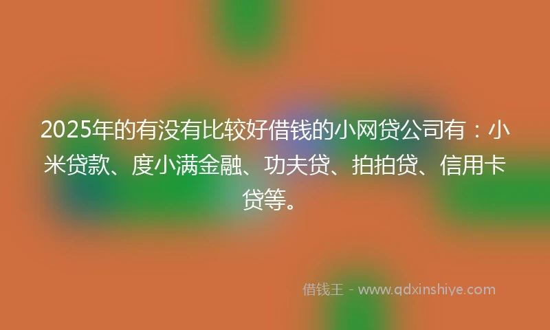 2025年的有没有比较好借钱的小网贷公司有：小米贷款、度小满金融、功夫贷、拍拍贷、信用卡贷等。
