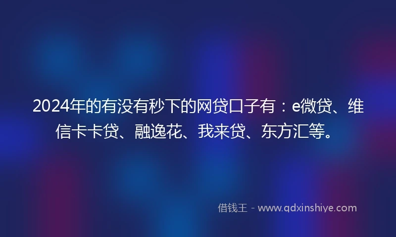 2024年的有没有秒下的网贷口子有：e微贷、维信卡卡贷、融逸花、我来贷、东方汇等。