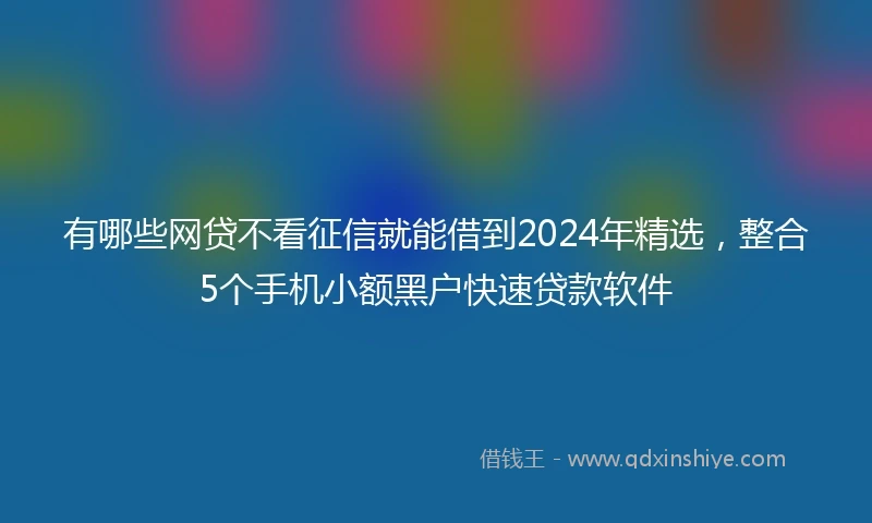 有哪些网贷不看征信就能借到2024年精选，整合5个手机小额黑户快速贷款软件