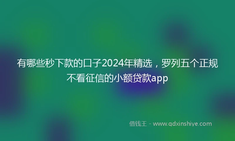 有哪些秒下款的口子2024年精选，罗列五个正规不看征信的小额贷款app