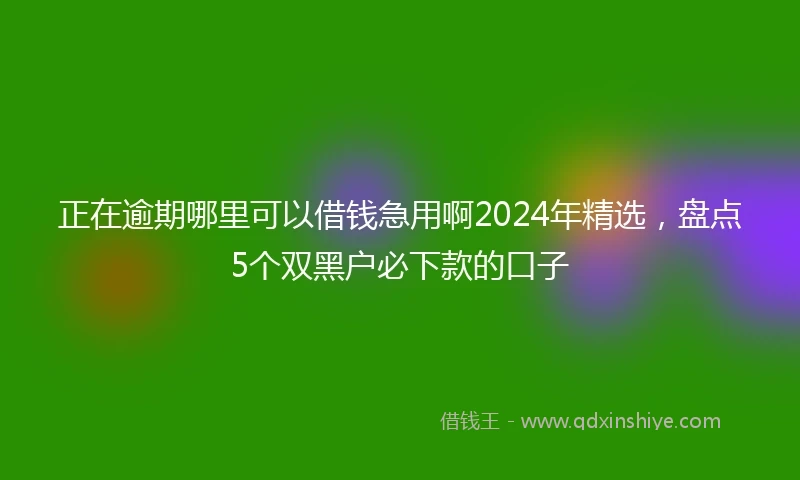 正在逾期哪里可以借钱急用啊2024年精选，盘点5个双黑户必下款的口子