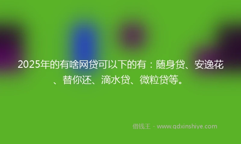 2025年的有啥网贷可以下的有：随身贷、安逸花、替你还、滴水贷、微粒贷等。