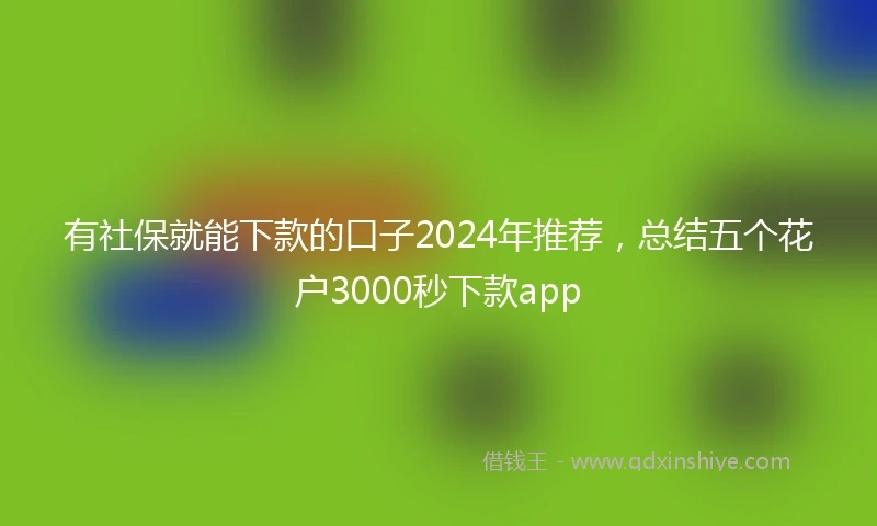 有社保就能下款的口子2024年推荐，总结五个花户3000秒下款app
