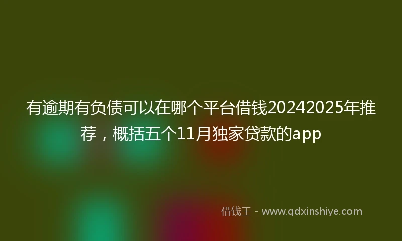 有逾期有负债可以在哪个平台借钱20242025年推荐，概括五个11月独家贷款的app