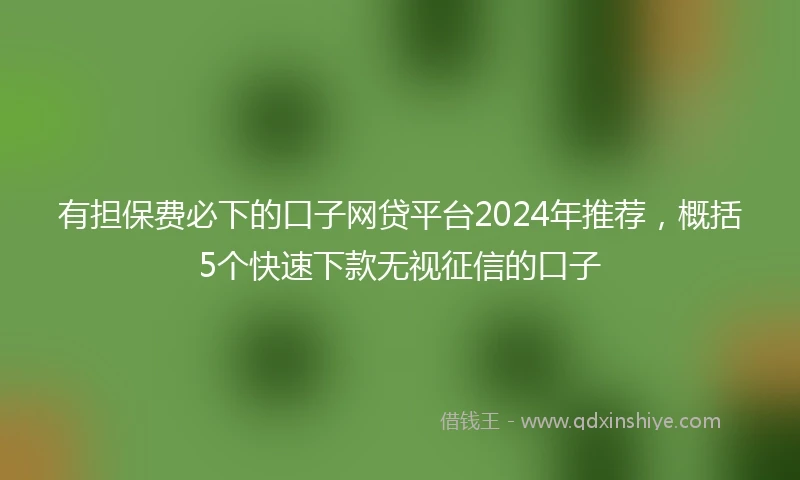 有担保费必下的口子网贷平台2024年推荐，概括5个快速下款无视征信的口子