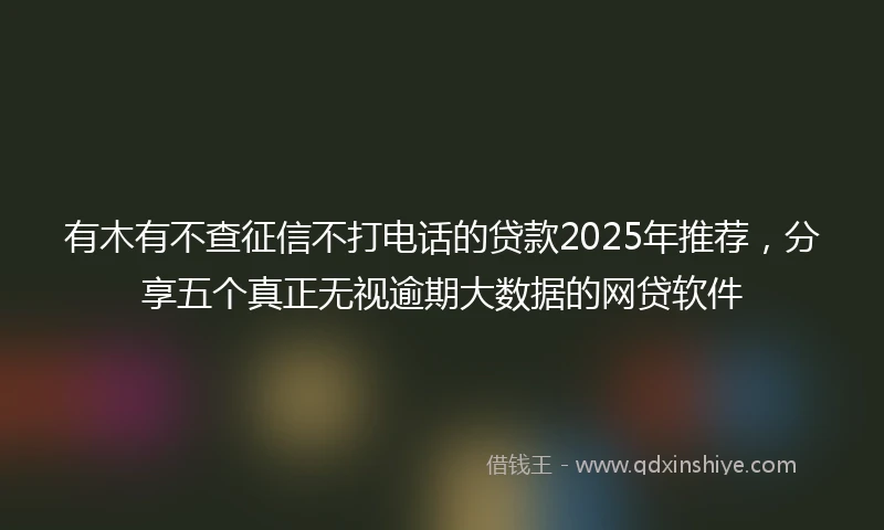 有木有不查征信不打电话的贷款2025年推荐，分享五个真正无视逾期大数据的网贷软件