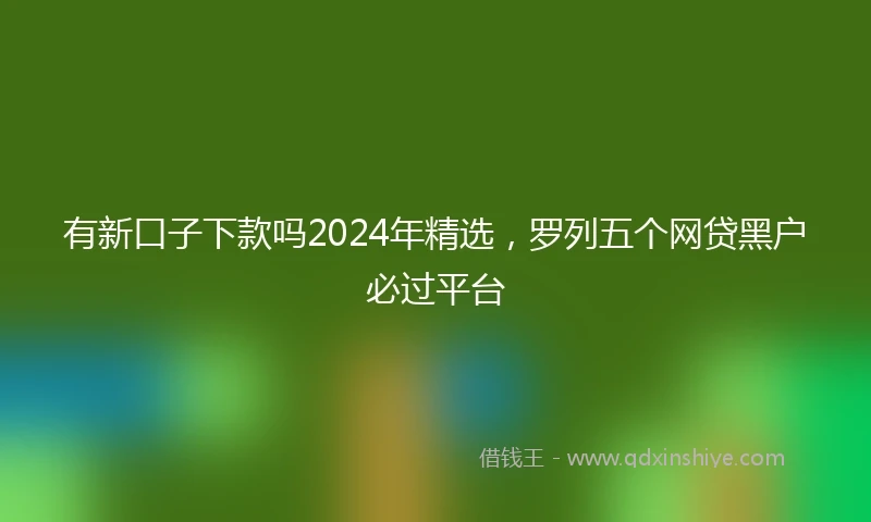 有新口子下款吗2024年精选，罗列五个网贷黑户必过平台