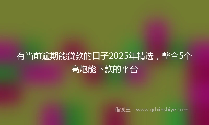有当前逾期能贷款的口子2025年精选，整合5个高炮能下款的平台