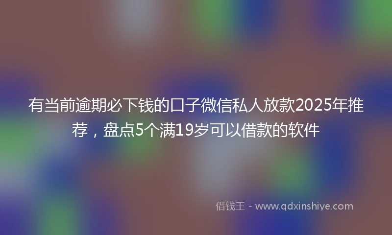 有当前逾期必下钱的口子微信私人放款2025年推荐，盘点5个满19岁可以借款的软件