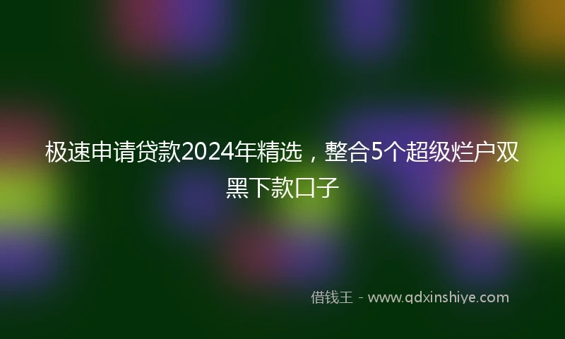 极速申请贷款2024年精选,整合5个超级烂户双黑下款口子