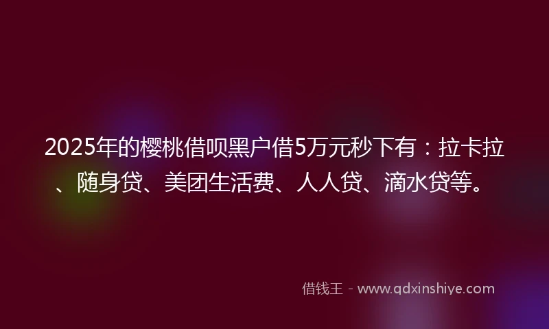 2025年的樱桃借呗黑户借5万元秒下有：拉卡拉、随身贷、美团生活费、人人贷、滴水贷等。