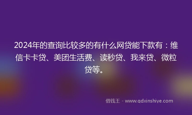 2024年的查询比较多的有什么网贷能下款有：维信卡卡贷、美团生活费、读秒贷、我来贷、微粒贷等。