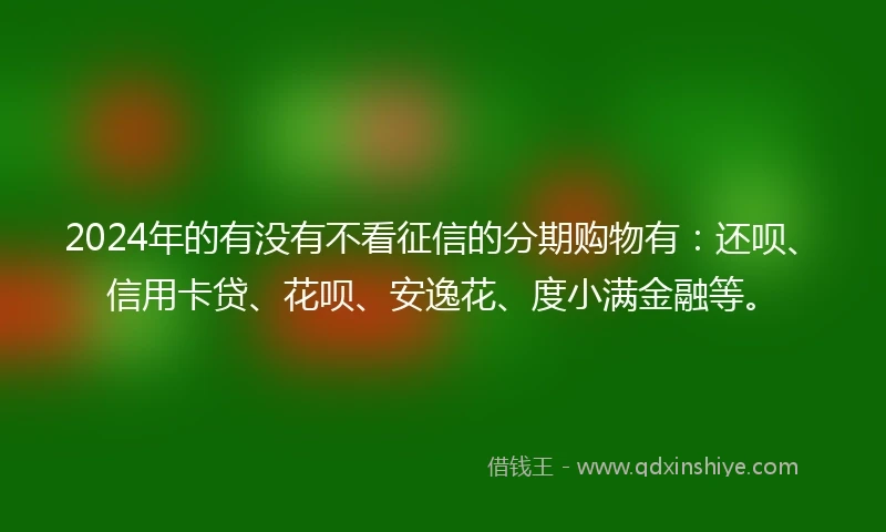 2024年的有没有不看征信的分期购物有：还呗、信用卡贷、花呗、安逸花、度小满金融等。