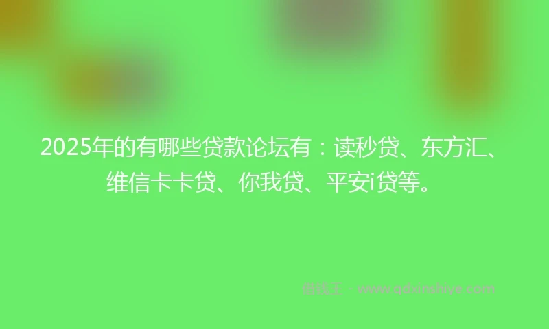 2025年的有哪些贷款论坛有：读秒贷、东方汇、维信卡卡贷、你我贷、平安i贷等。