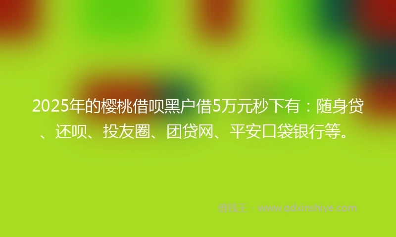 2025年的樱桃借呗黑户借5万元秒下有：随身贷、还呗、投友圈、团贷网、平安口袋银行等。