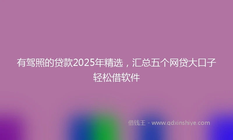 有驾照的贷款2025年精选，汇总五个网贷大口子轻松借软件