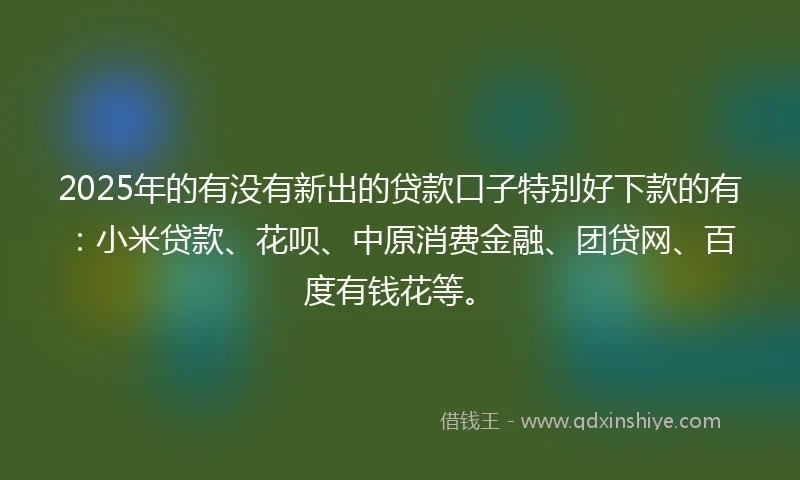 2025年的有没有新出的贷款口子特别好下款的有：小米贷款、花呗、中原消费金融、团贷网、百度有钱花等。