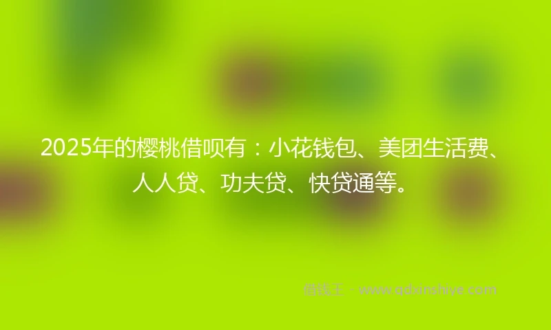 2025年的樱桃借呗有：小花钱包、美团生活费、人人贷、功夫贷、快贷通等。