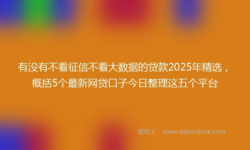 有没有不看征信不看大数据的贷款2025年精选，概括5个最新网贷口子今日整理这五个平台