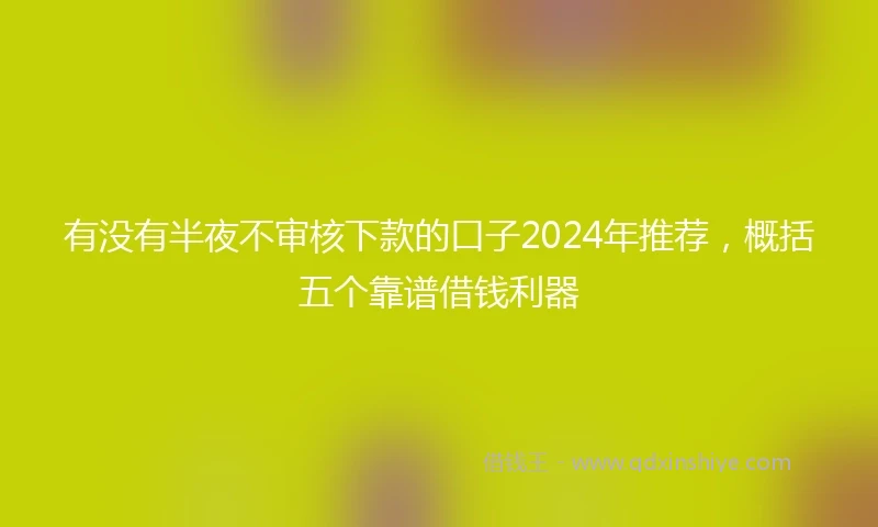 有没有半夜不审核下款的口子2024年推荐，概括五个靠谱借钱利器
