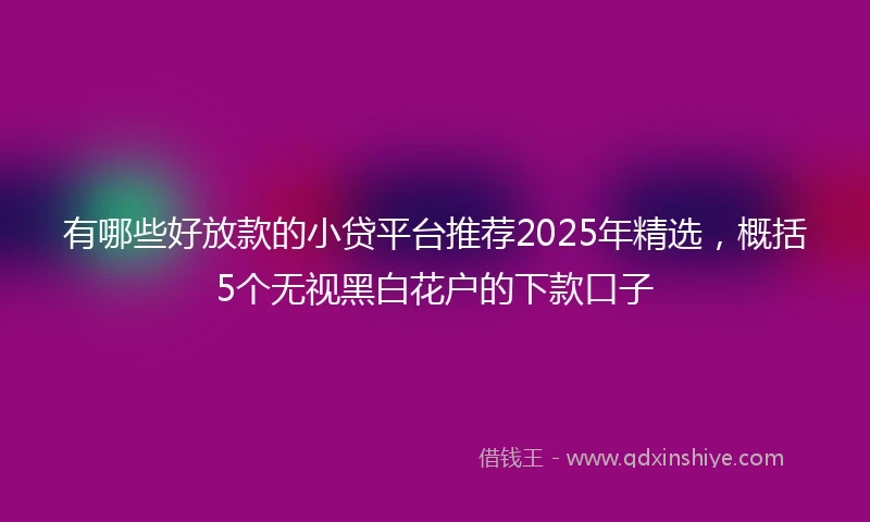 有哪些好放款的小贷平台推荐2025年精选，概括5个无视黑白花户的下款口子