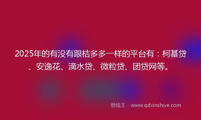 2025年的有没有跟桔多多一样的平台有：柯基贷、安逸花、滴水贷、微粒贷、团贷网等。