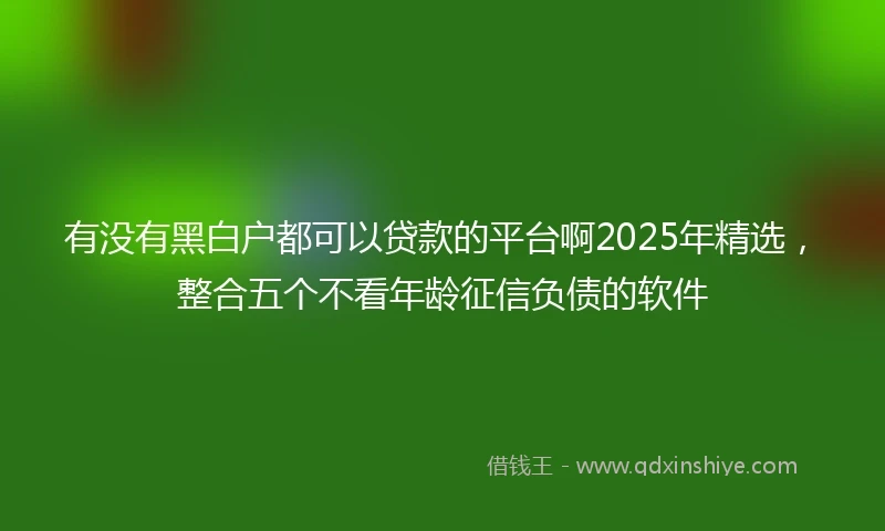 有没有黑白户都可以贷款的平台啊2025年精选，整合五个不看年龄征信负债的软件