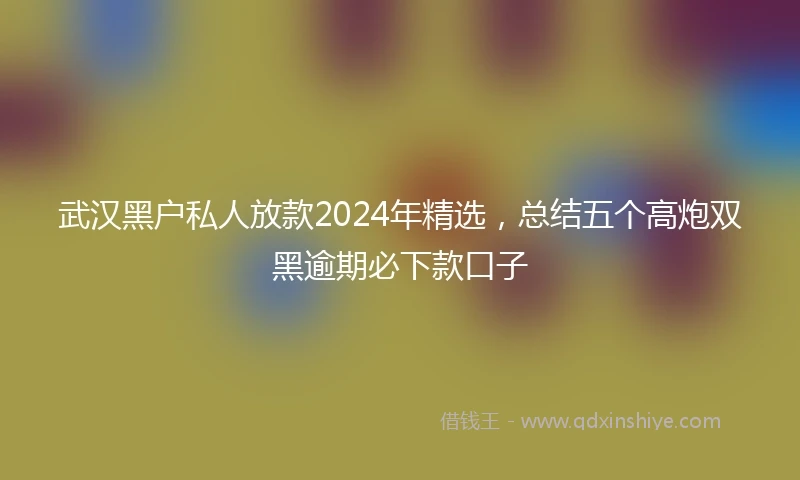 武汉黑户私人放款2024年精选，总结五个高炮双黑逾期必下款口子