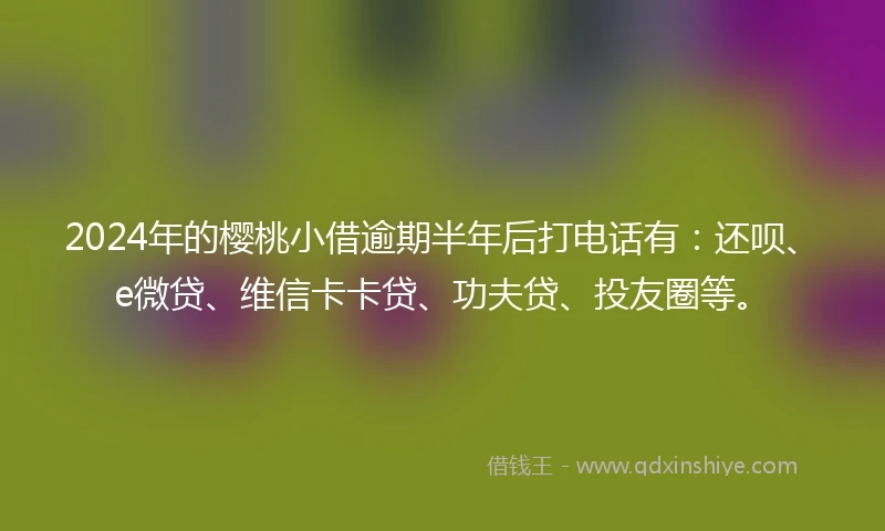 2024年的樱桃小借逾期半年后打电话有：还呗、e微贷、维信卡卡贷、功夫贷、投友圈等。