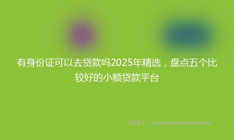 有身份证可以去贷款吗2025年精选，盘点五个比较好的小额贷款平台