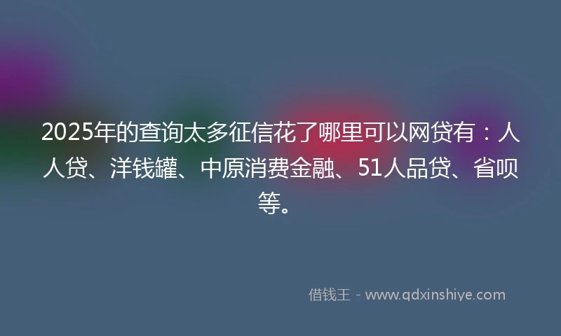 2025年的查询太多征信花了哪里可以网贷有：人人贷、洋钱罐、中原消费金融、51人品贷、省呗等。