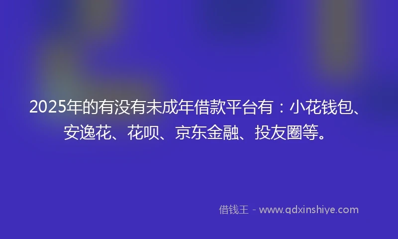 2025年的有没有未成年借款平台有：小花钱包、安逸花、花呗、京东金融、投友圈等。