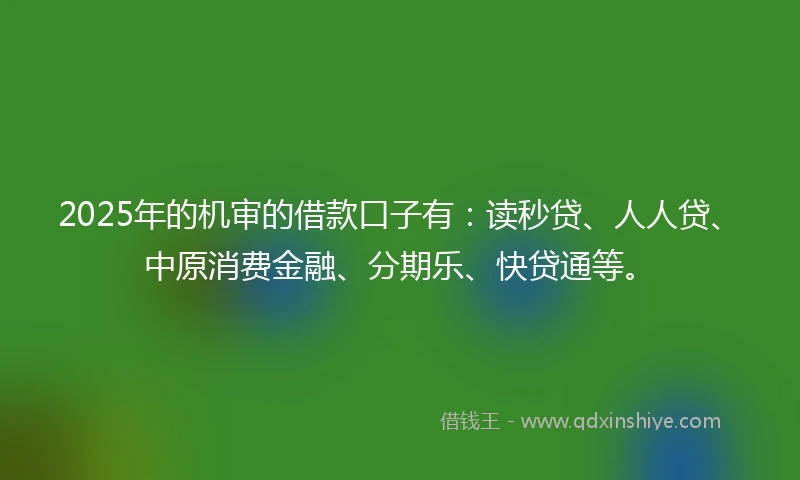 2025年的机审的借款口子有：读秒贷、人人贷、中原消费金融、分期乐、快贷通等。