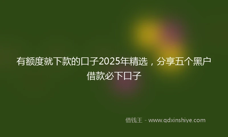 有额度就下款的口子2025年精选，分享五个黑户借款必下口子