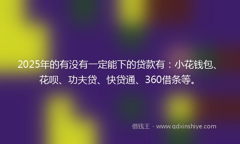 2025年的有没有一定能下的贷款有：小花钱包、花呗、功夫贷、快贷通、360借条等。