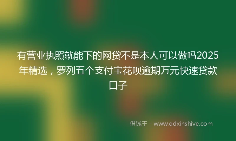 有营业执照就能下的网贷不是本人可以做吗2025年精选，罗列五个支付宝花呗逾期万元快速贷款口子