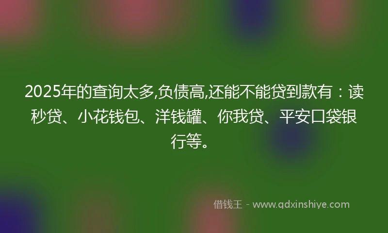 2025年的查询太多,负债高,还能不能贷到款有：读秒贷、小花钱包、洋钱罐、你我贷、平安口袋银行等。