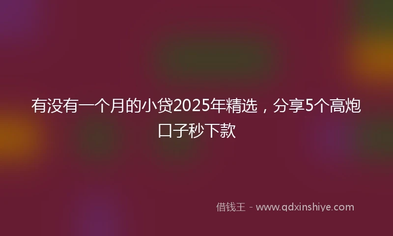 有没有一个月的小贷2025年精选，分享5个高炮口子秒下款