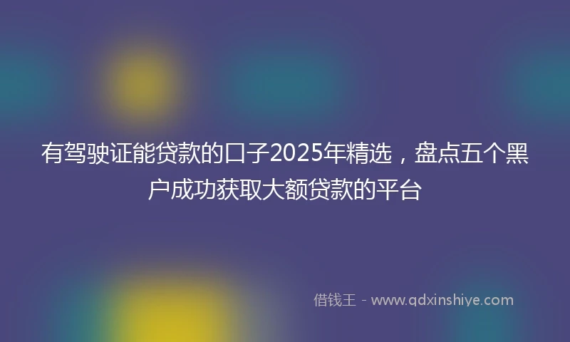 有驾驶证能贷款的口子2025年精选，盘点五个黑户成功获取大额贷款的平台
