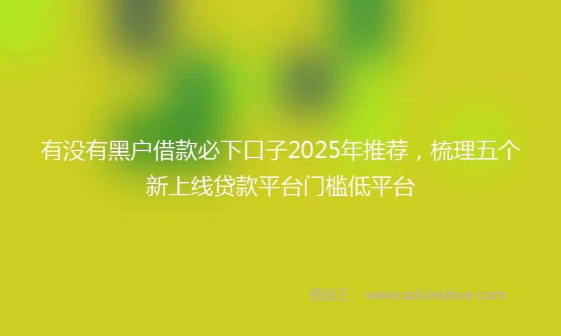 有没有黑户借款必下口子2025年推荐，梳理五个新上线贷款平台门槛低平台