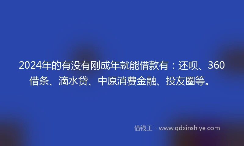 2024年的有没有刚成年就能借款有：还呗、360借条、滴水贷、中原消费金融、投友圈等。