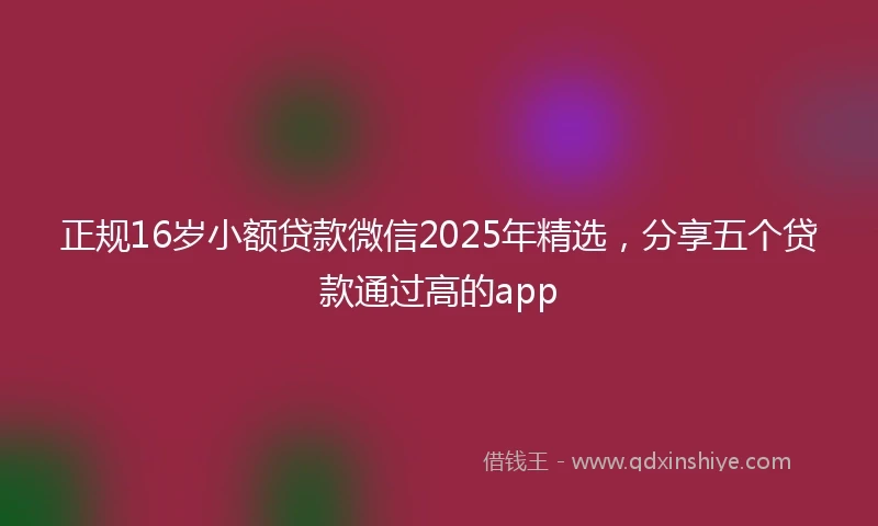 正规16岁小额贷款微信2025年精选，分享五个贷款通过高的app