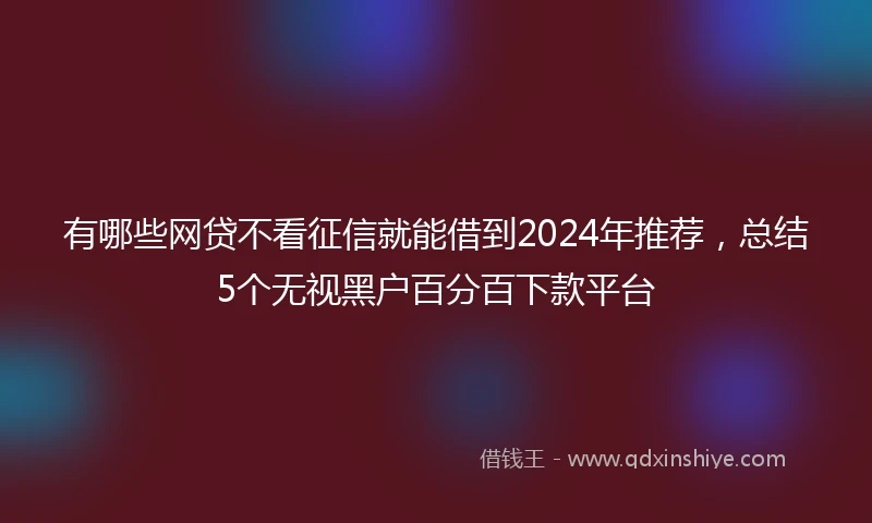 有哪些网贷不看征信就能借到2024年推荐，总结5个无视黑户百分百下款平台