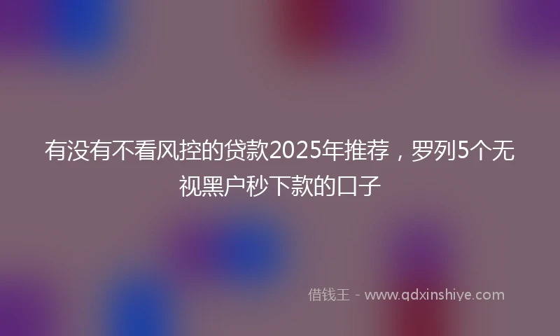 有没有不看风控的贷款2025年推荐，罗列5个无视黑户秒下款的口子
