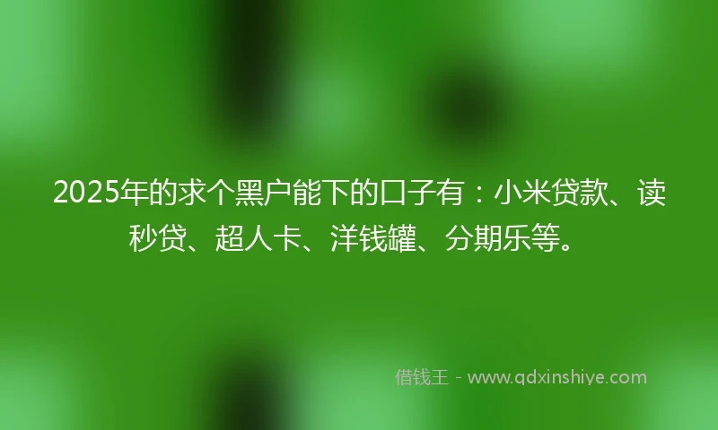 2025年的求个黑户能下的口子有：小米贷款、读秒贷、超人卡、洋钱罐、分期乐等。